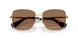 110973 - Gold - Dark Brown