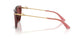 344475 - Tortoise - Dark Violet
