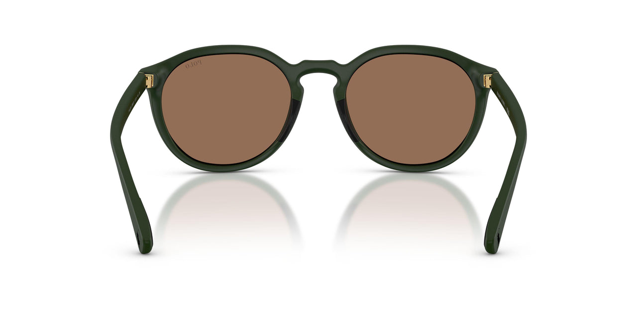 559673 - Green - Dark Brown