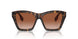 300213 - Brown - Brown Gradient