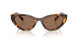 14L60M - Tortoise - Dark Brown
