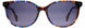STATE Optical Co. ROSCOESUN Sunglasses