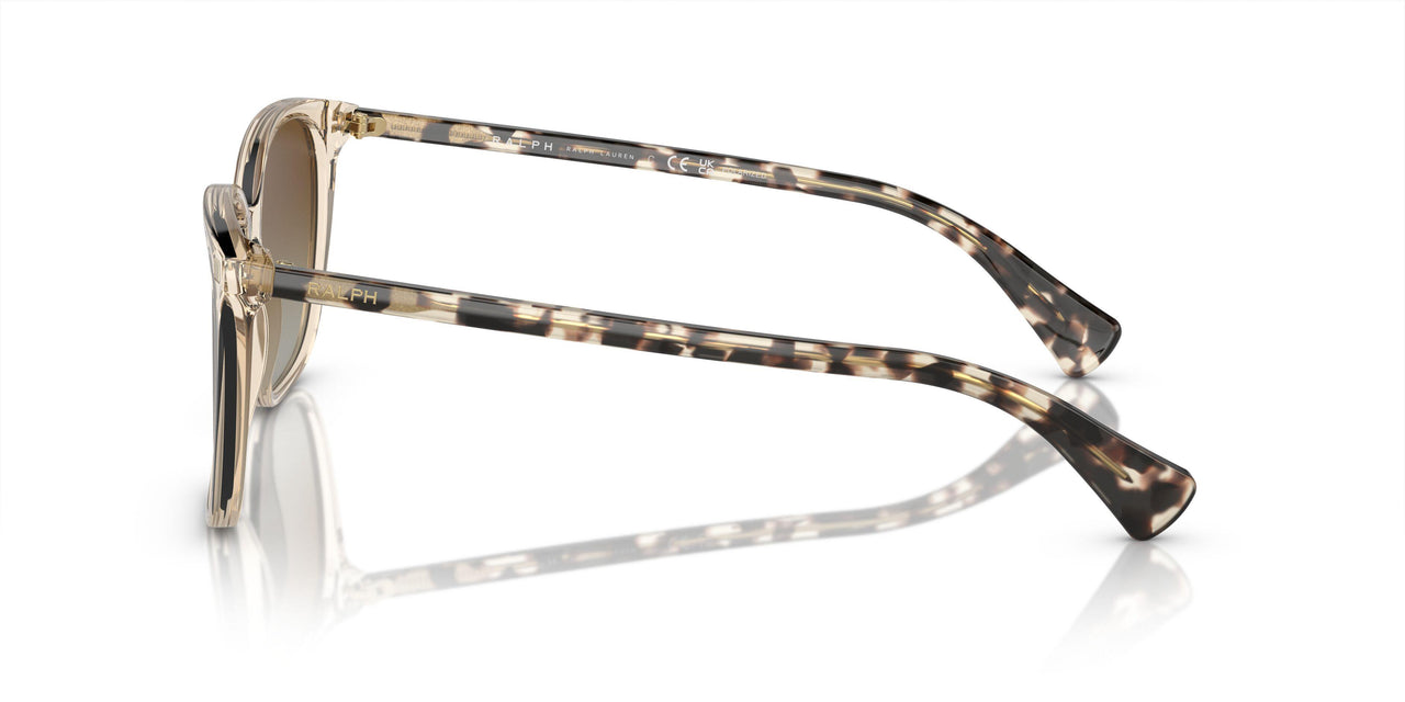 6072T5 - Brown - Polar Gradient Brown