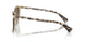 6072T5 - Brown - Polar Gradient Brown