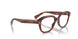2144 - Brown - Clear