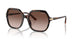 W65613 - Brown - Gradient Brown