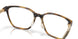 801304 - Tortoise