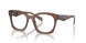17O1O1 - Brown