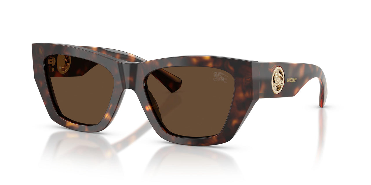 300273 - Brown - Dark Brown
