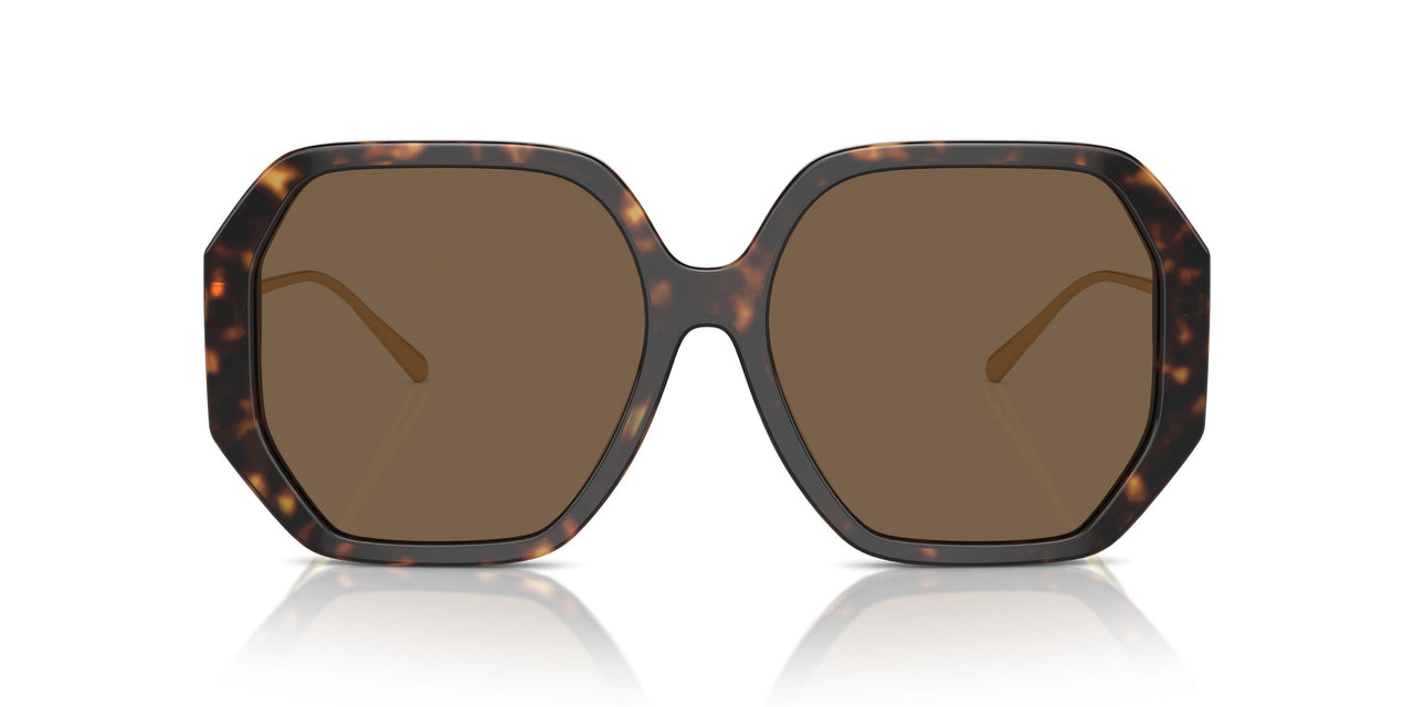 196473 - Tortoise - Dark Brown
