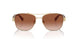 900513 - Gold - Brown Gradient