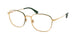 Polo 1242 Eyeglasses