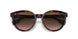 300213 - Havana - Brown Gradient
