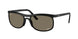 Ray-Ban 4452CH Sunglasses