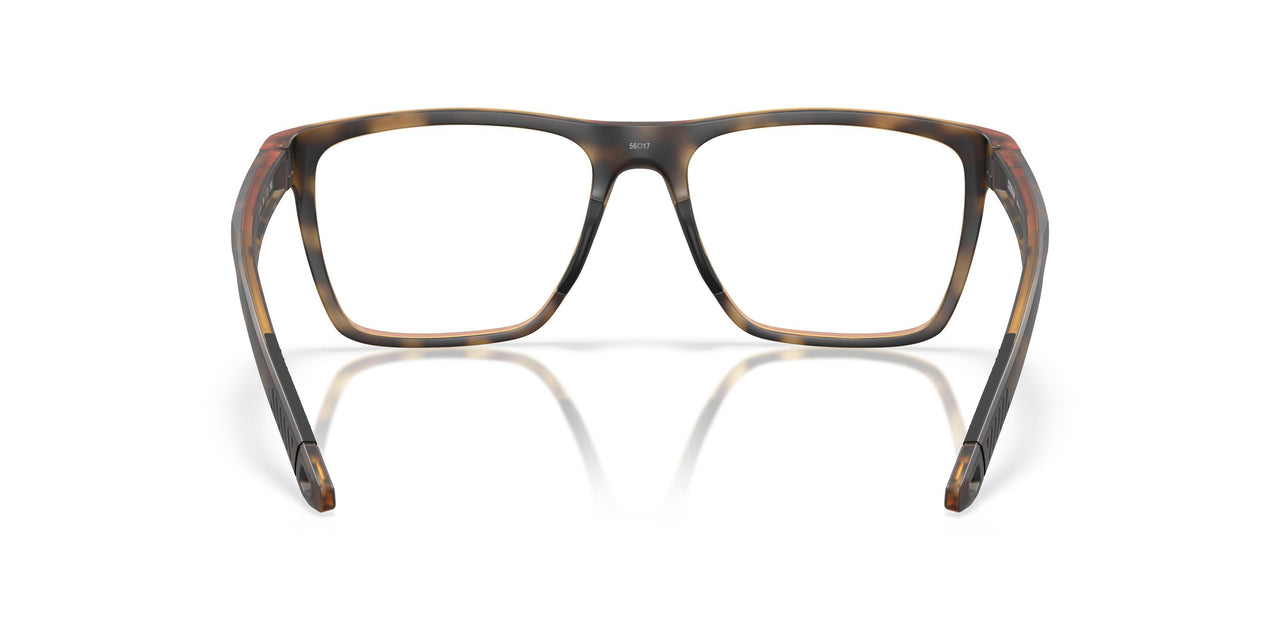 802603 - Tortoise