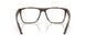 802603 - Tortoise