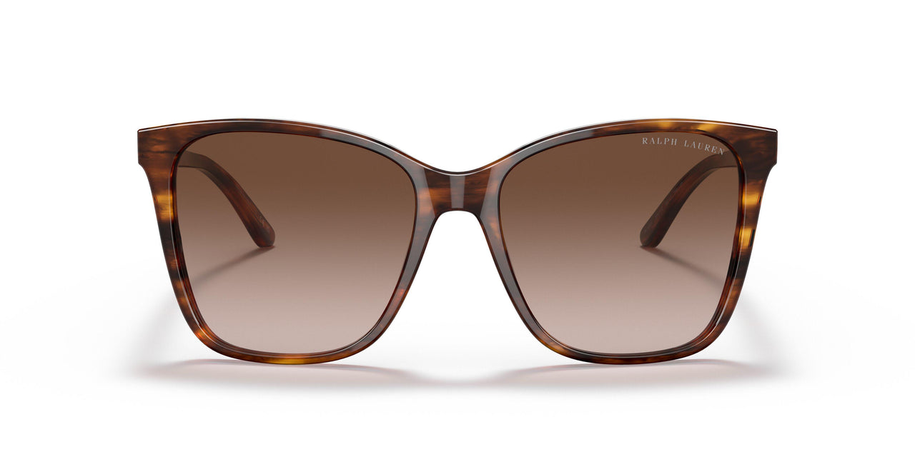 500713 - Havana - Gradient Brown