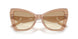 343213 - Brown - Clear Gradient Light Brown