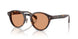 3002/7 - Tortoise - Brown Solid