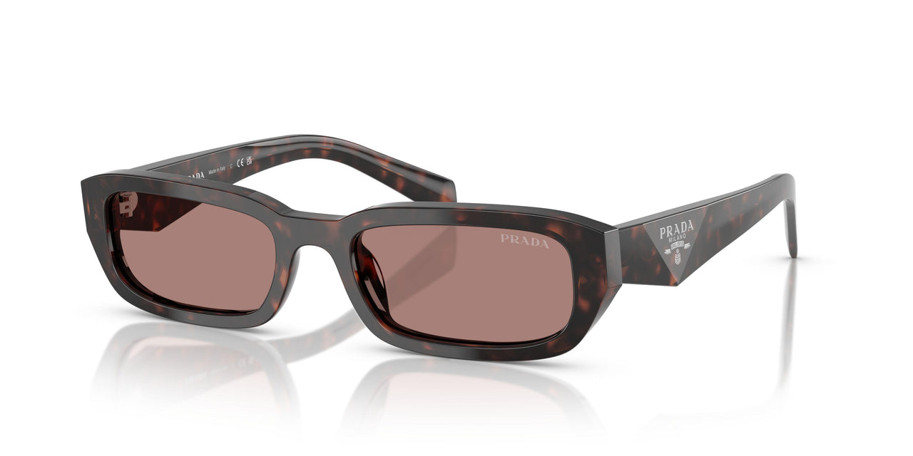 17N60B - Tortoise - Light Brown