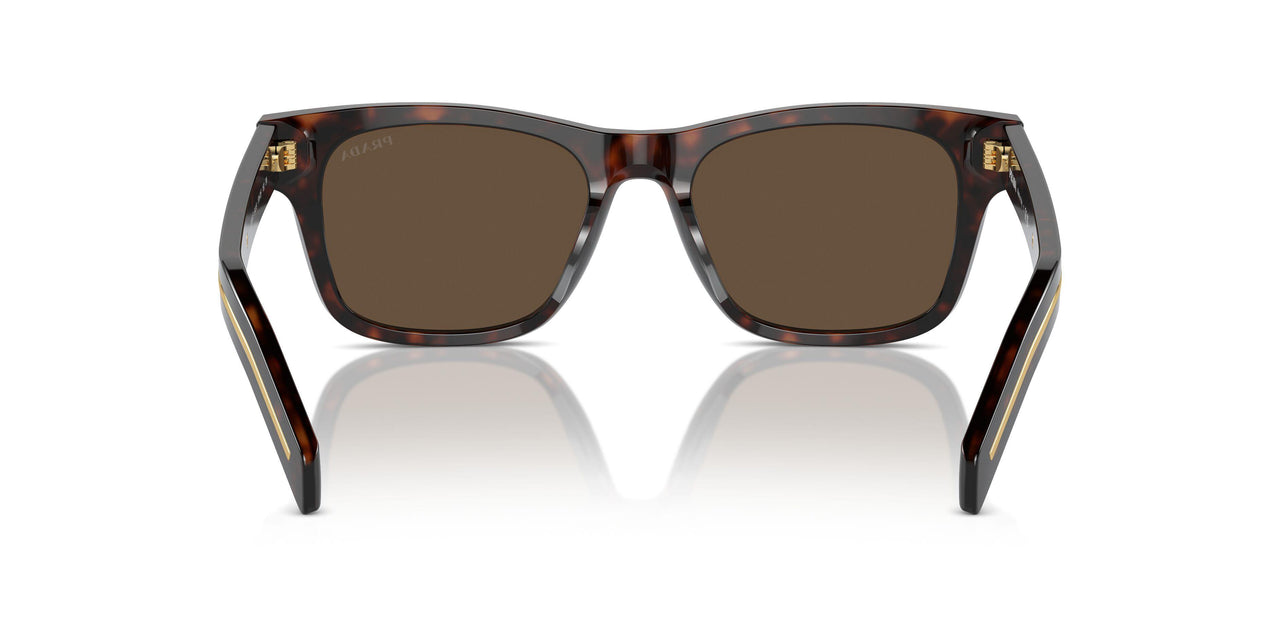 17N70F - Havana - Dark Brown