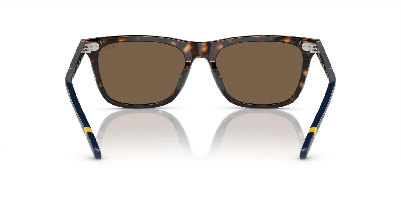 500373 - Brown - Brown