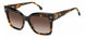 Carrera 3037 Sunglasses
