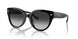 50023C - Black - Grey Gradient
