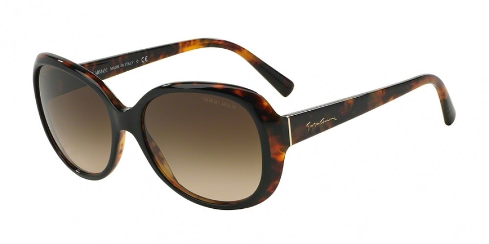 504913 - Black - Brown Gradient