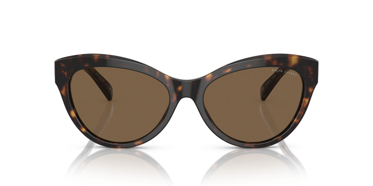 500373 - Tortoise - Brown
