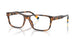 5003 - Tortoise
