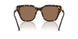 100273 - Tortoise - Dark Brown