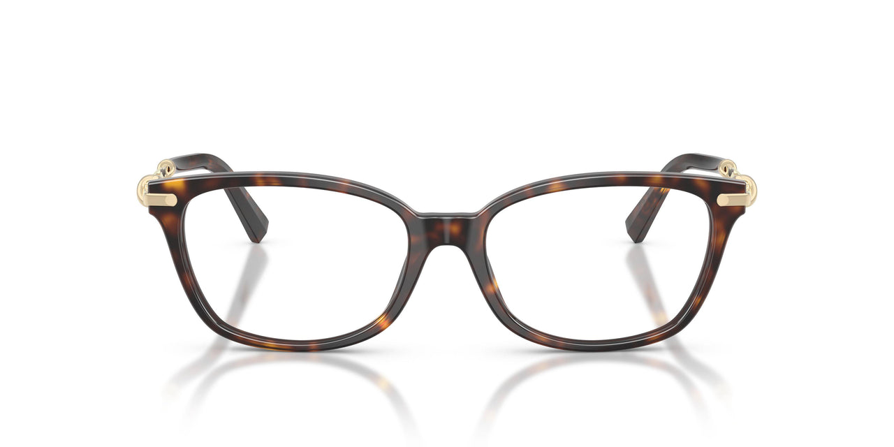 8015 - Tortoise