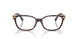 8015 - Tortoise