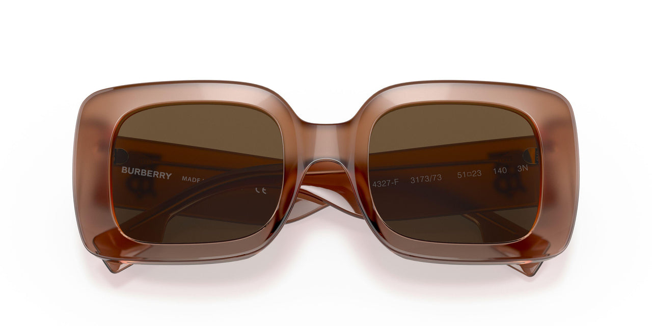 317373 - Light Brown - Brown