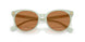 604973 - Green - Amber