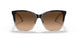 602274 - Black - Light Grad Brown