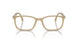 1169 - Brown - Clear