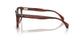 3034 - Tortoise