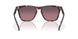 201407 - Tortoise - Rose Gradient