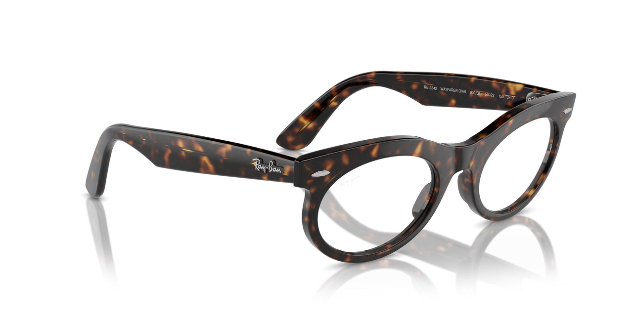 902/GI - Tortoise - Clear/brown