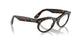 902/GI - Tortoise - Clear/brown