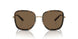 336373 - Tortoise - Brown Gradient