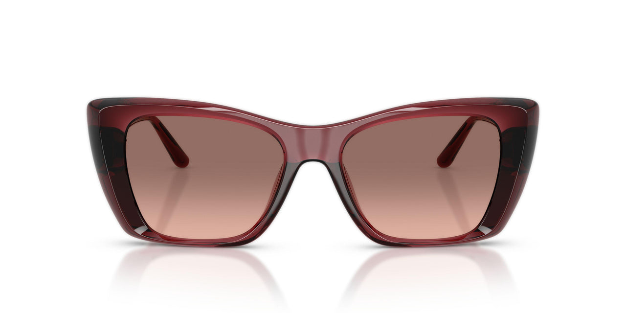 317513 - Brown - Peach