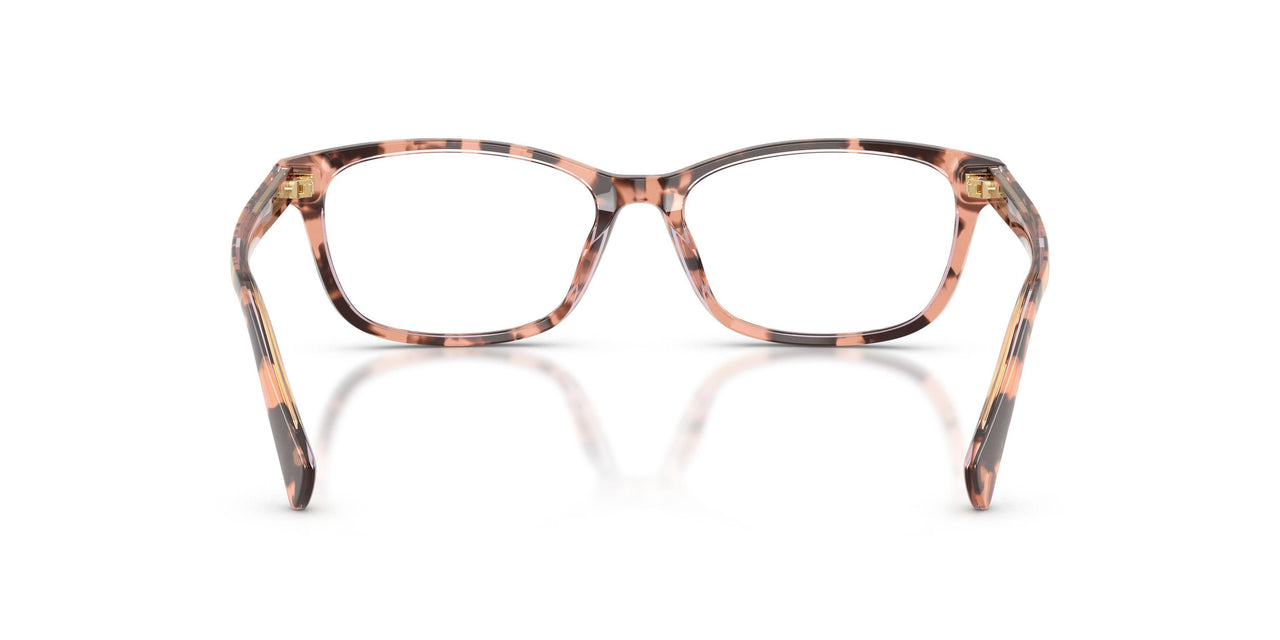 6295 - Tortoise