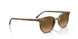 1439M2 - Green - Polarized Brown Gradient