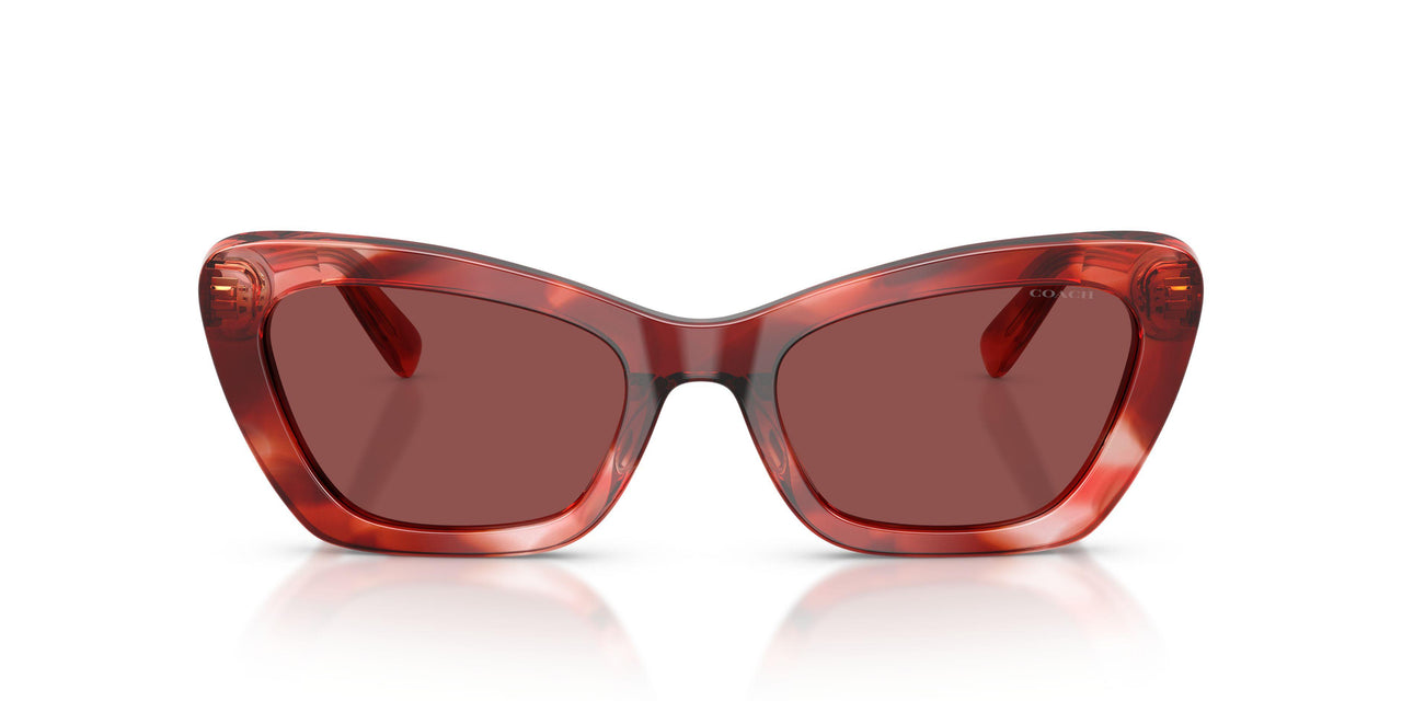 594075 - Red - Wine Solid