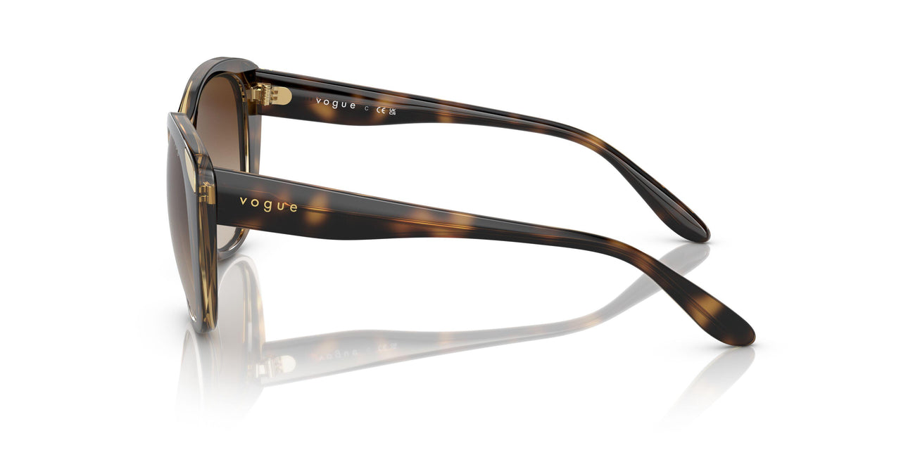 W65613 - Havana - Gradient Brown