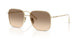 ZVN50T - Gold - Light Brown Gradient Light Grey