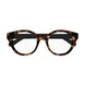 002 - Havana/Black - Transparent